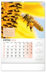 Nástenný Včelársky kalendár 2024, 33 × 46 cm 