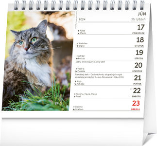 Stolový kalendár Mačky – s menami mačiek 2024, 16,5 × 13 cm